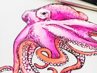 The Pink Octopus